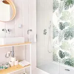 Monstera Apartment