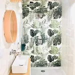 Monstera * Dziwnówek