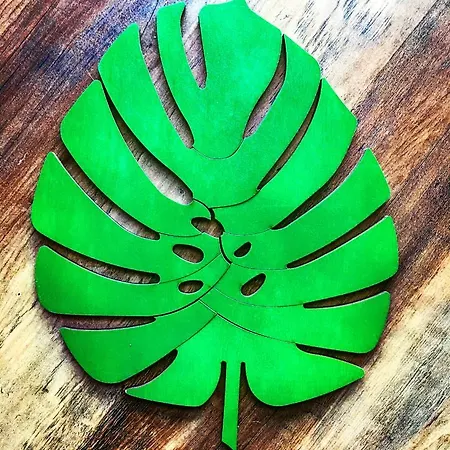 Apartment Monstera Dziwnówek