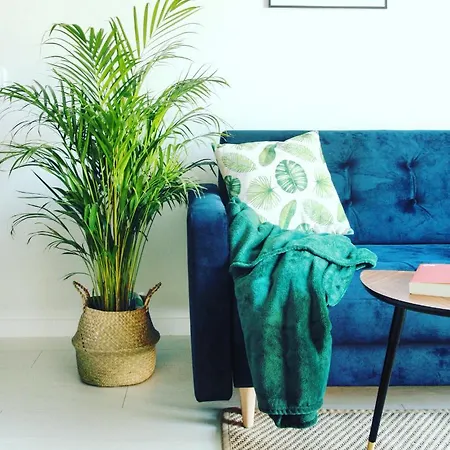 Apartment Monstera Dziwnowek