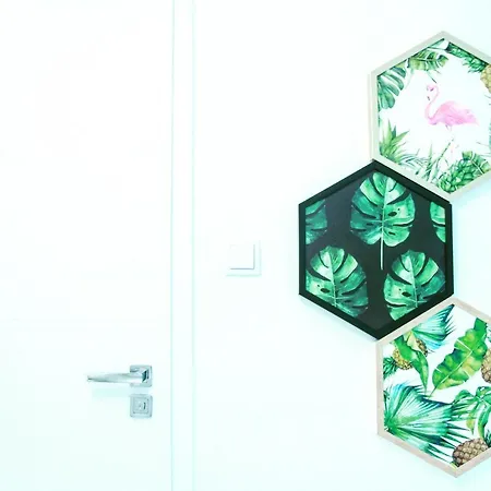 Apartment Monstera *