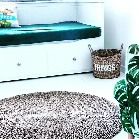 Monstera Apartman Dziwnówek