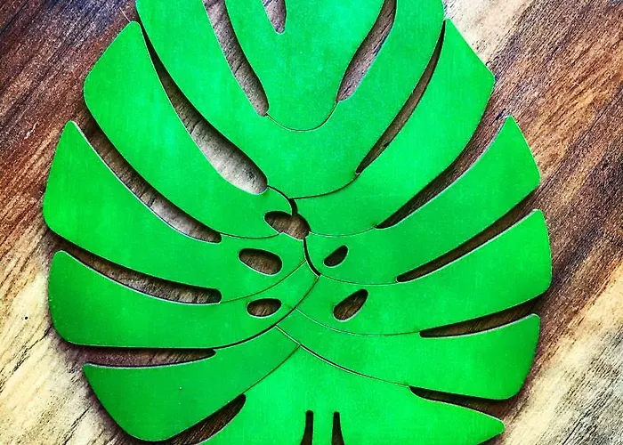 Appartamento Monstera Dziwnówek