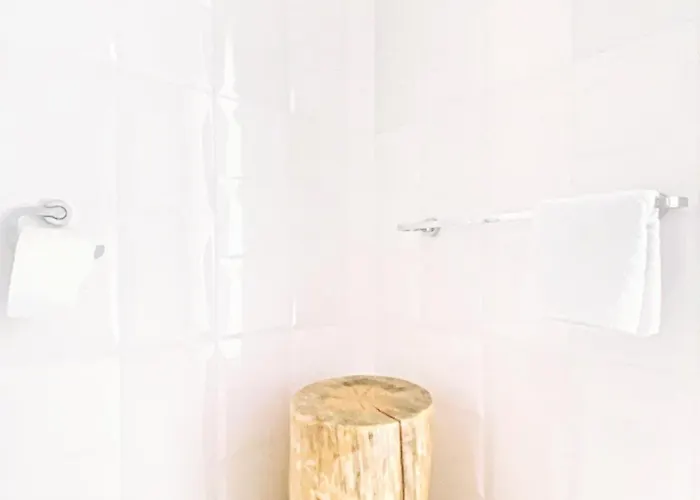 Monstera Appartamento