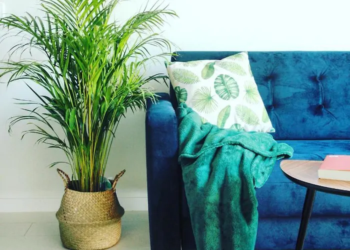 Appartamento Monstera Dziwnówek