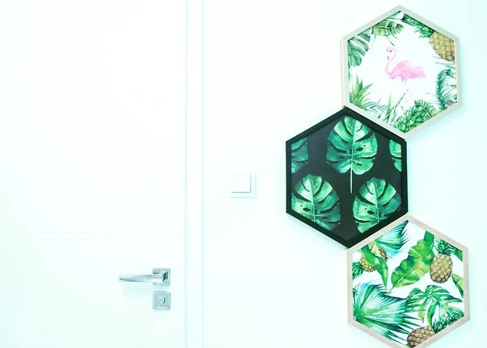 Appartamento Monstera *