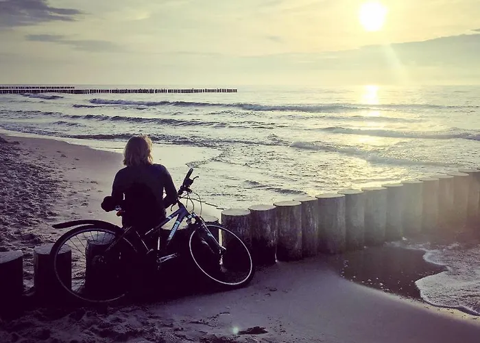 Monstera Appartamento Dziwnówek