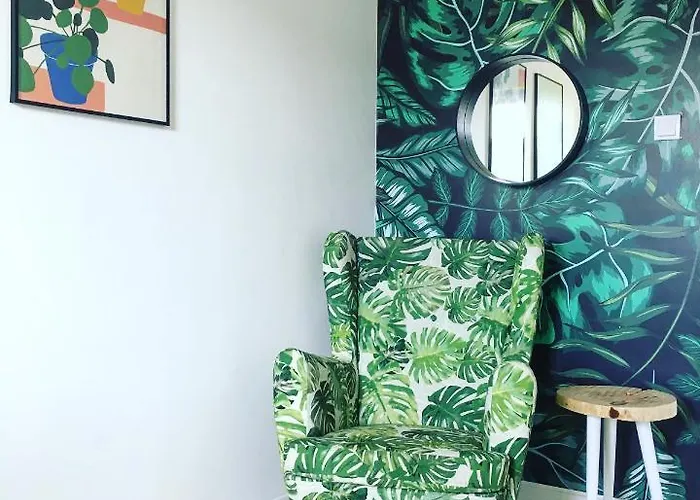 Monstera Appartamento Dziwnówek